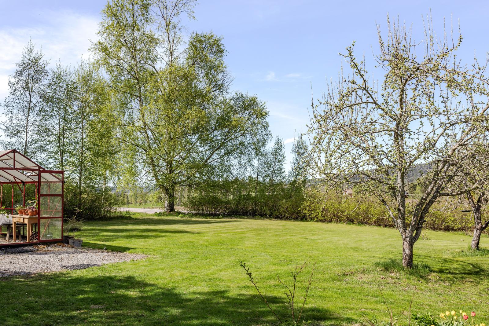 I trädgården