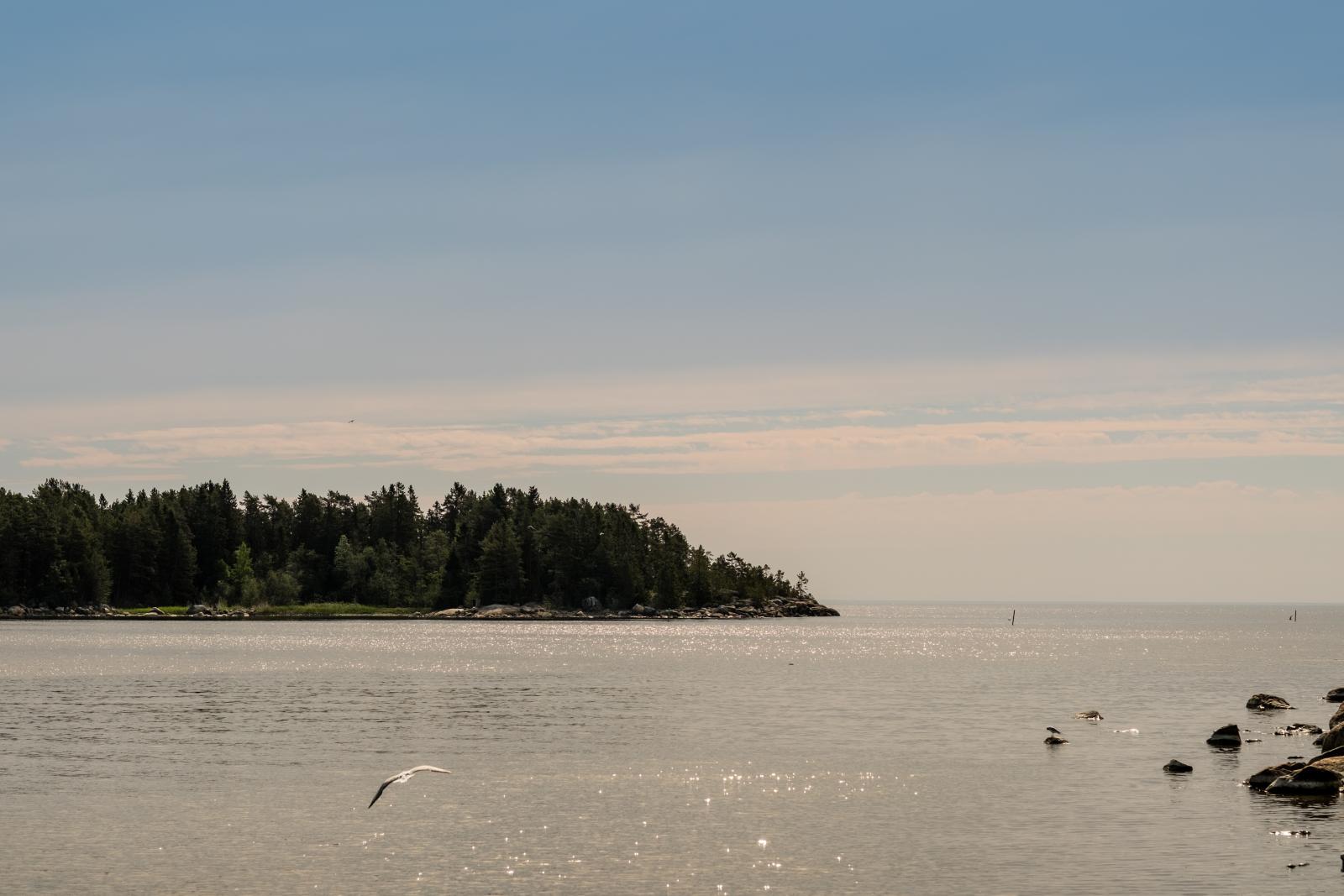 Havet, strax nedanför huset. Varmt välkommen!