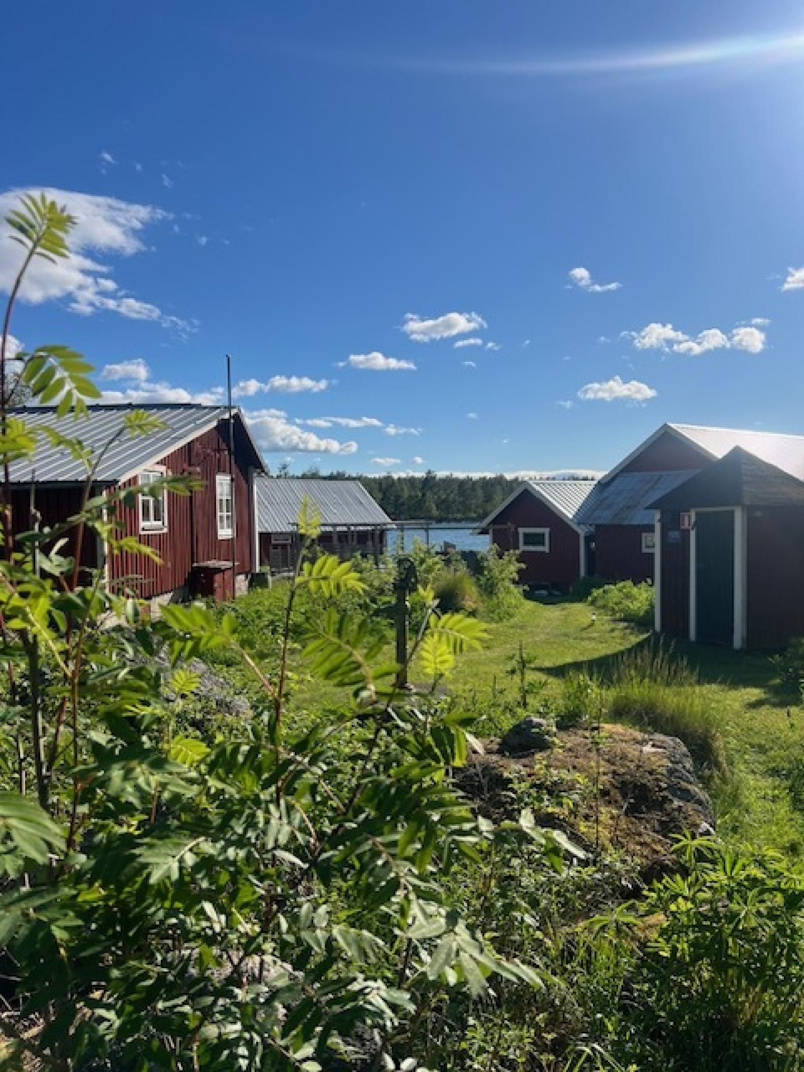 Området