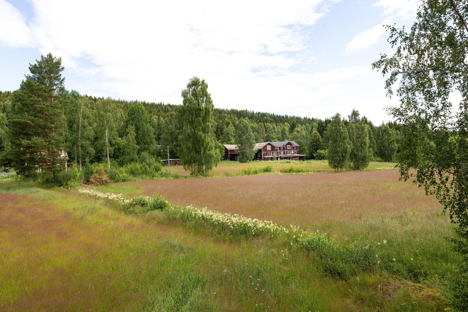 Lantlig lantbruksfastighet