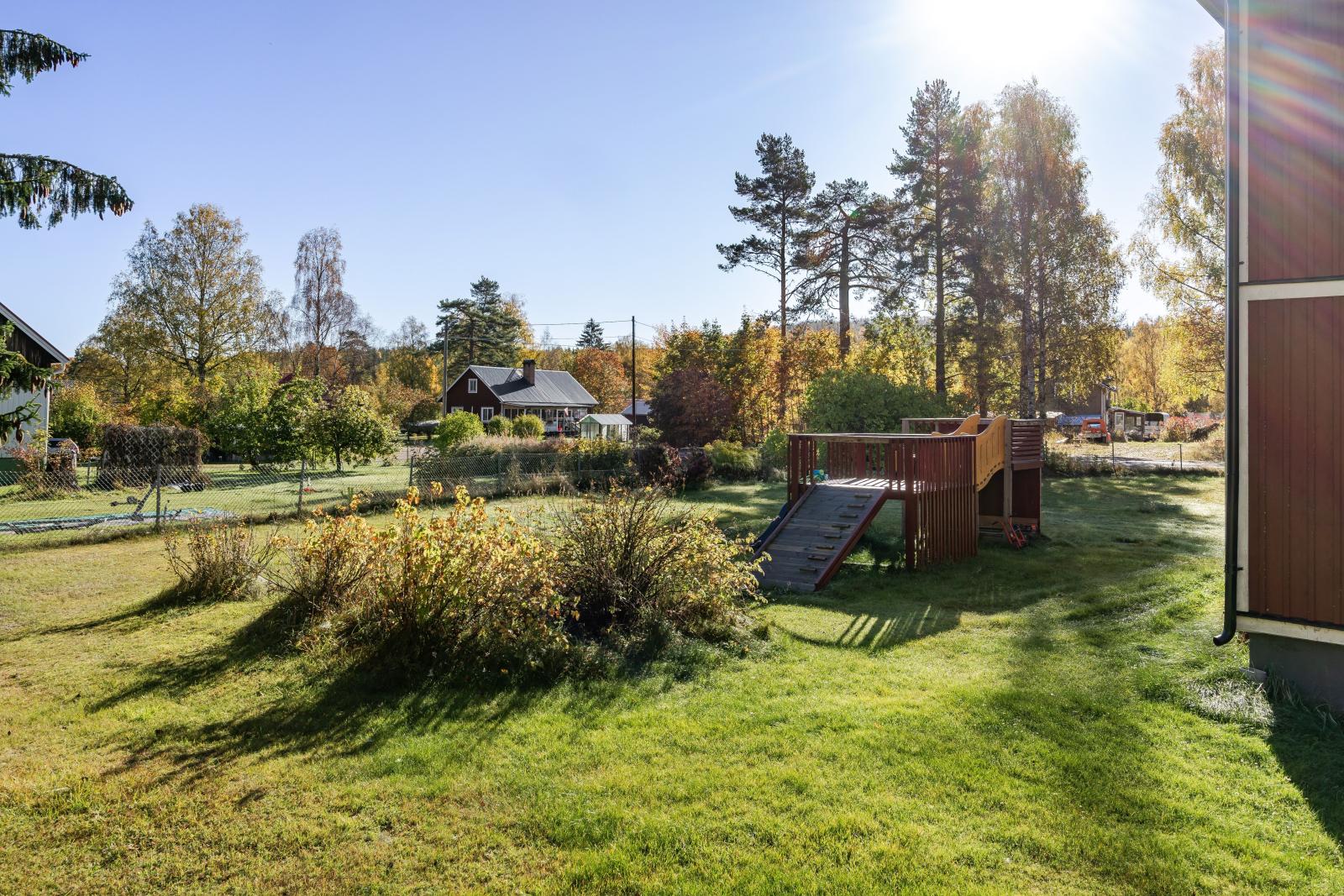I trädgården