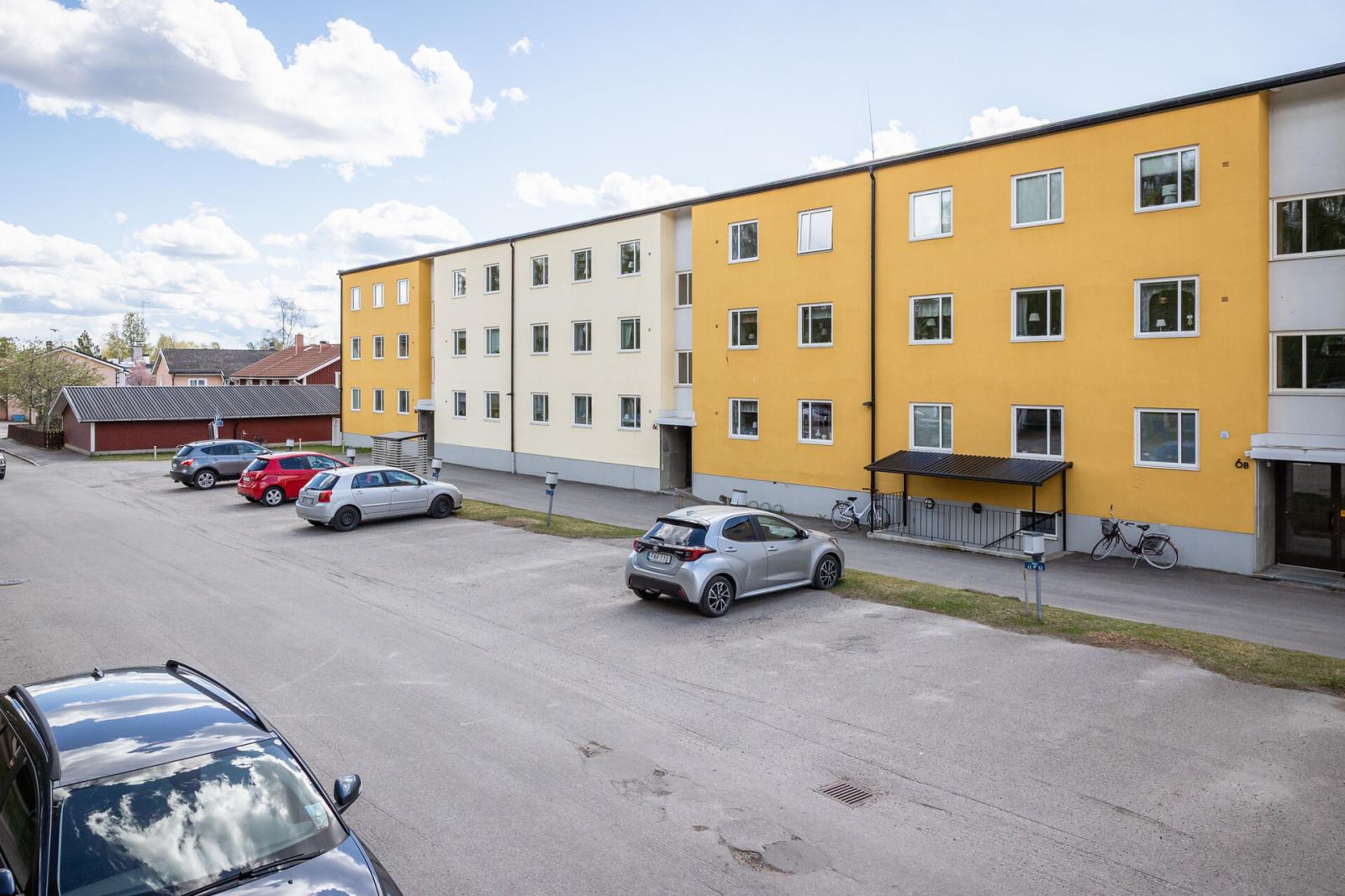 Exteriör