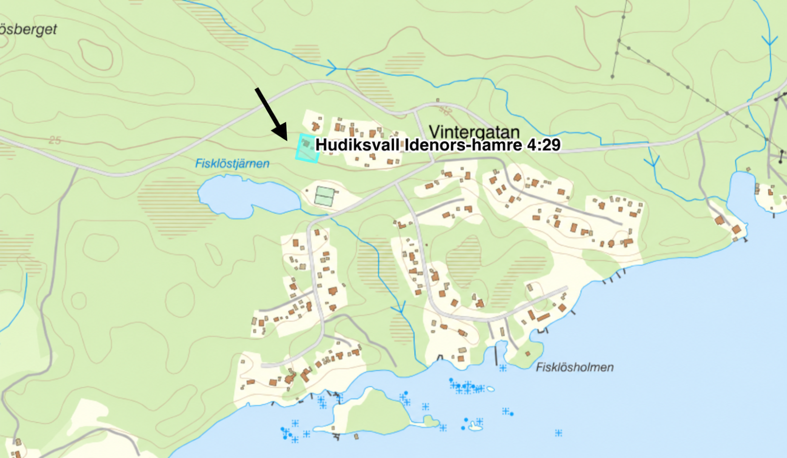 Polstjärnan 29