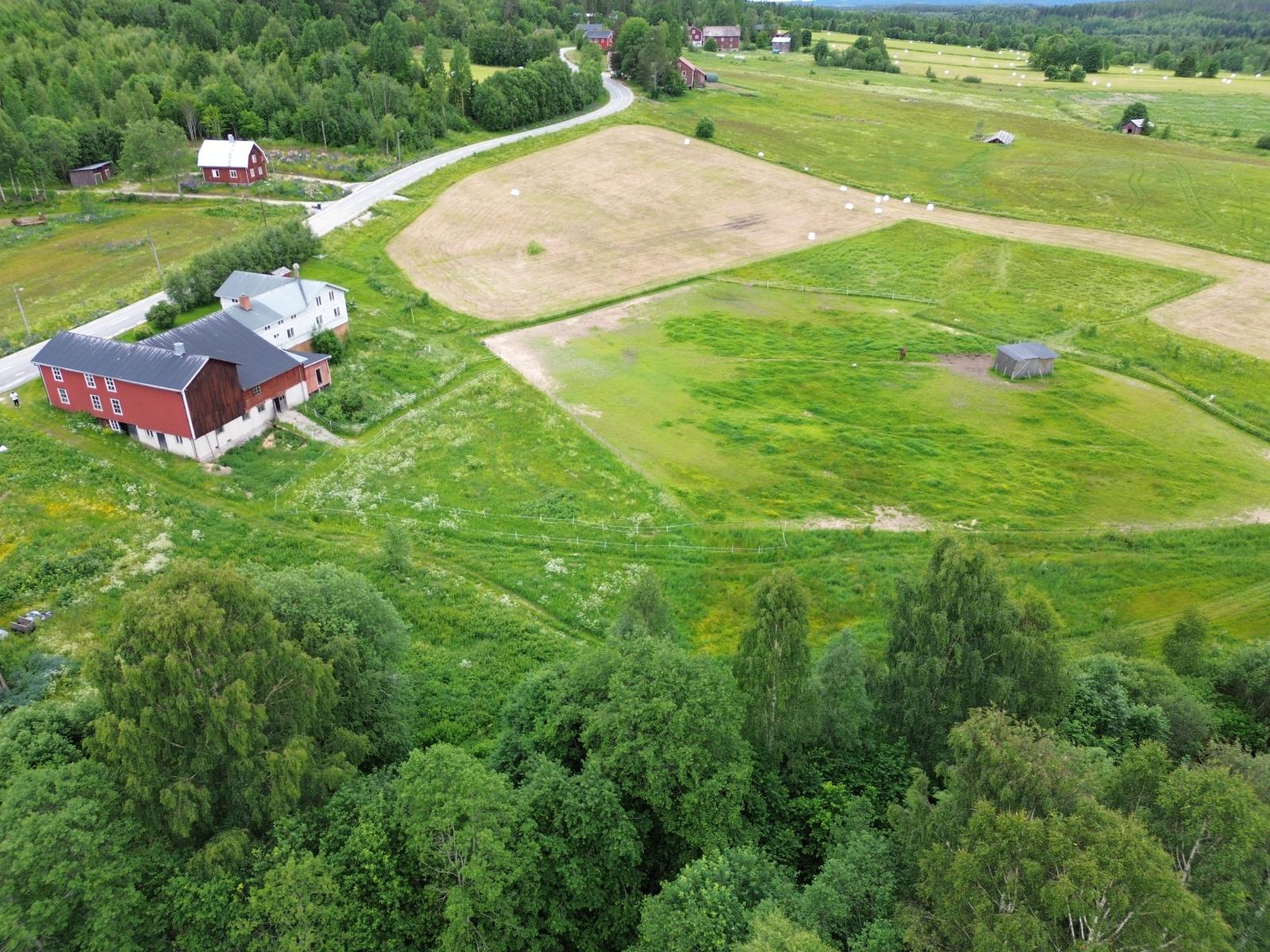 DJI_0187