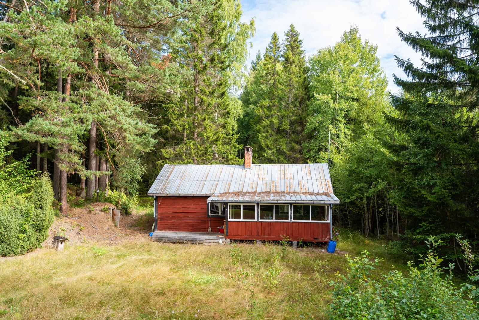 Exteriör