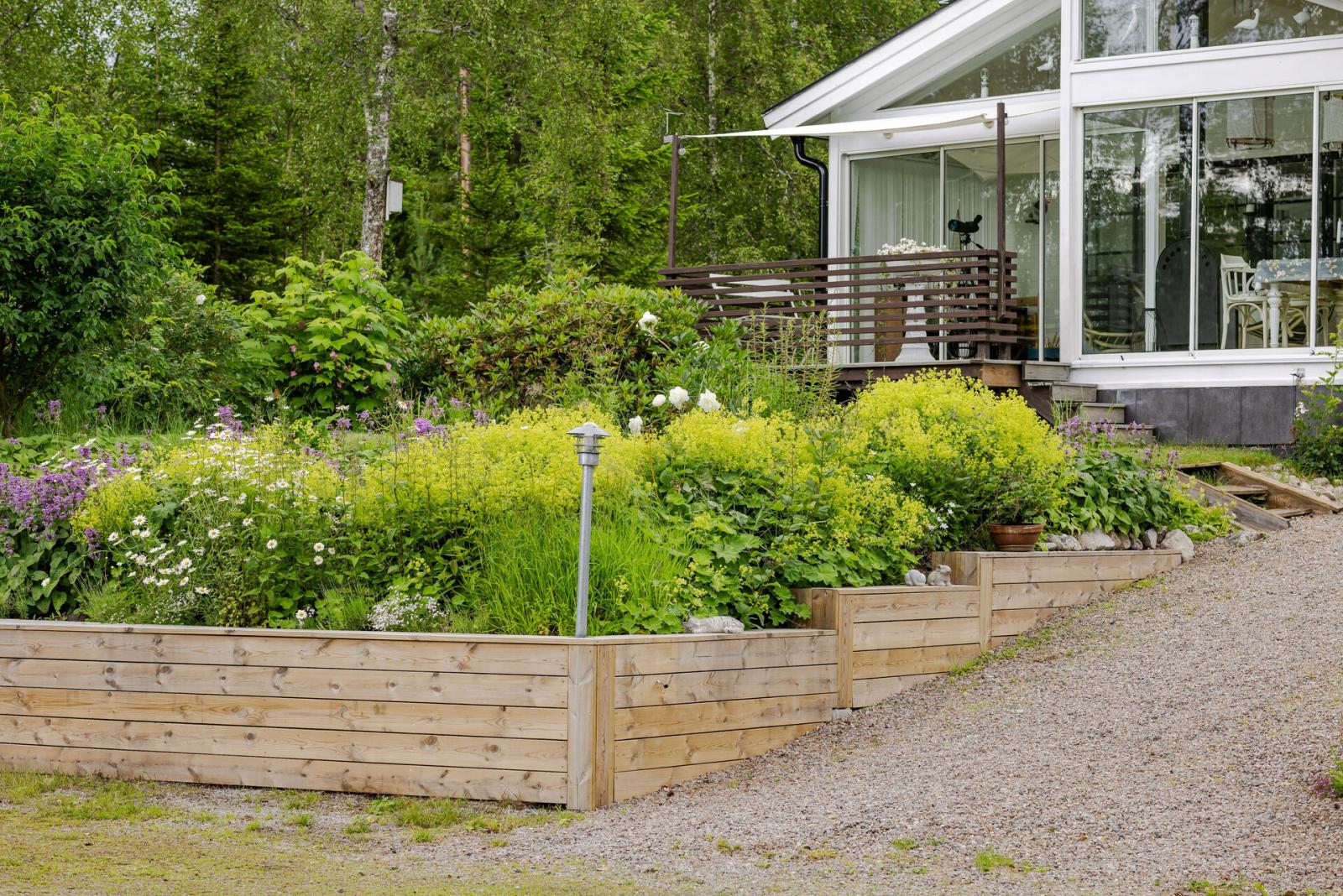 Trädgård