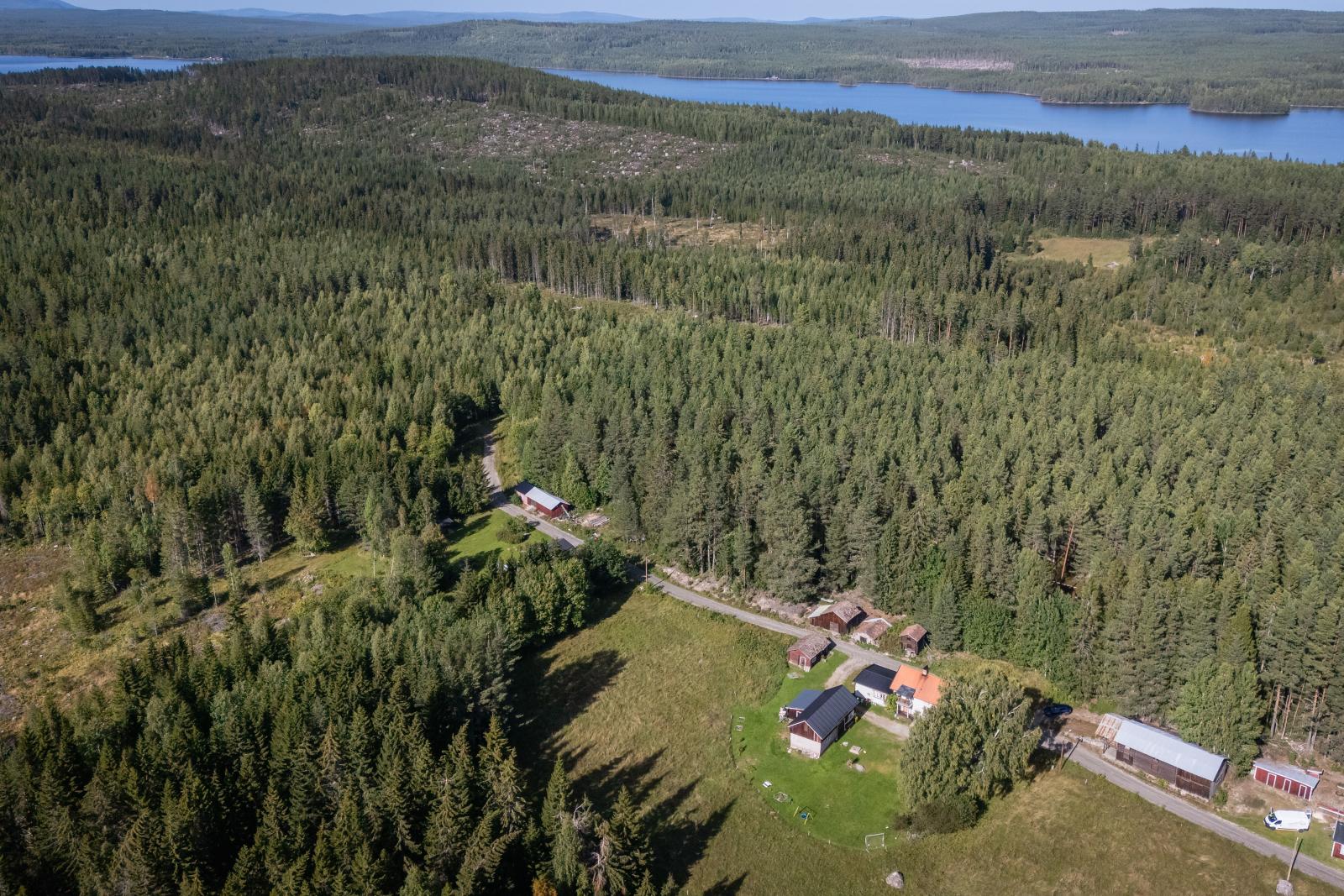 Fastighet med jakträtt