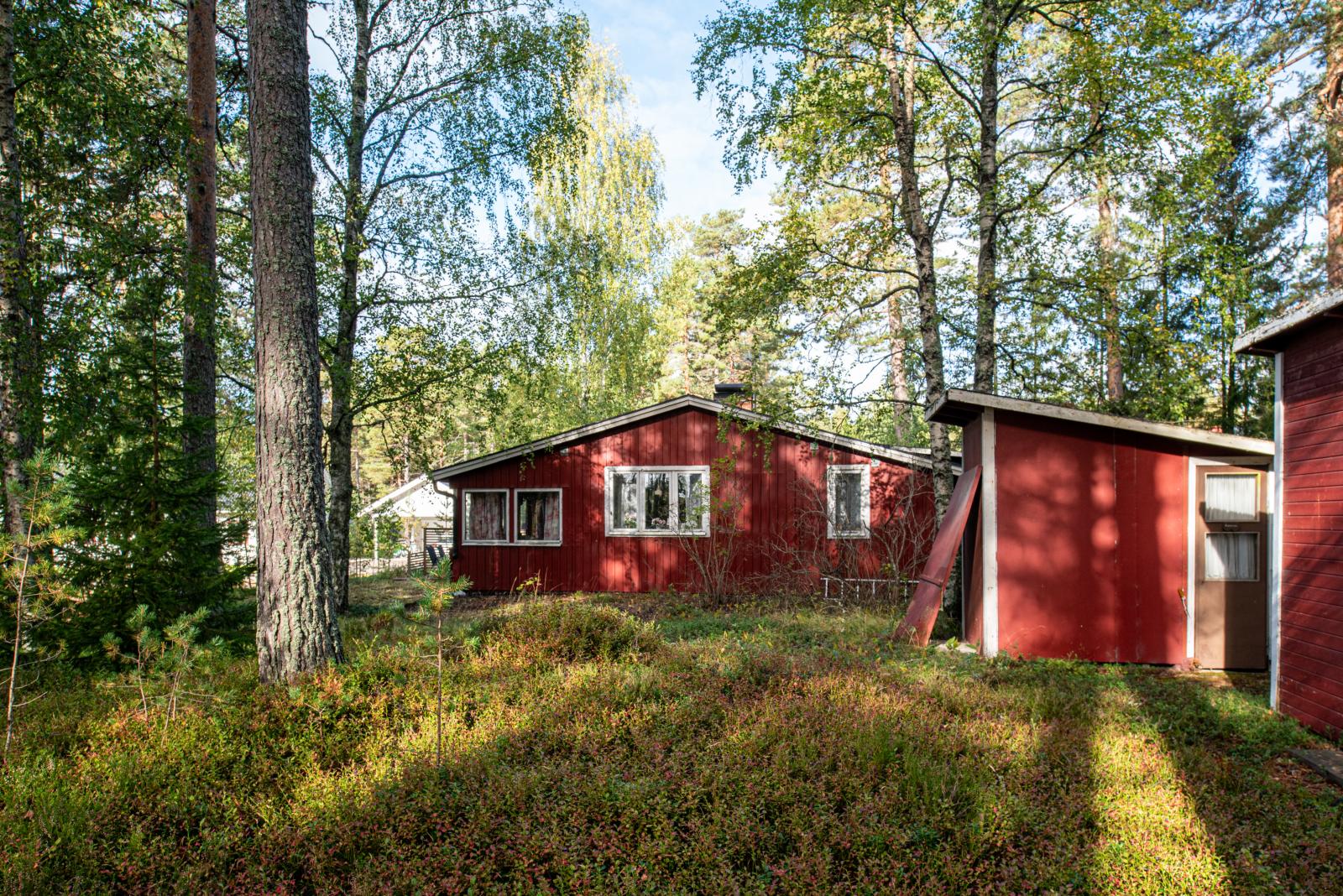 Exteriör