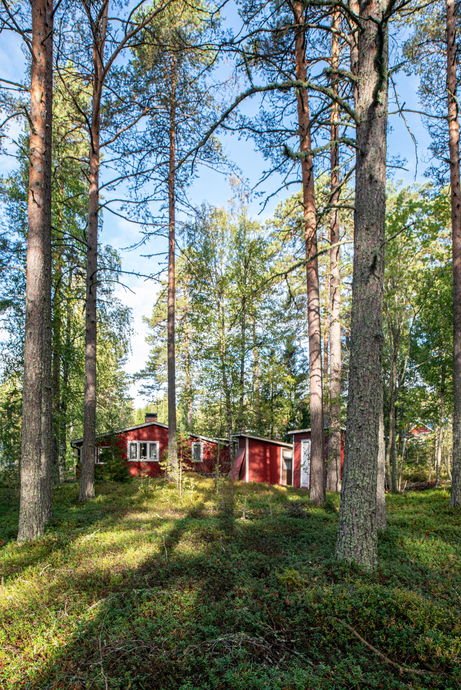 Exteriör