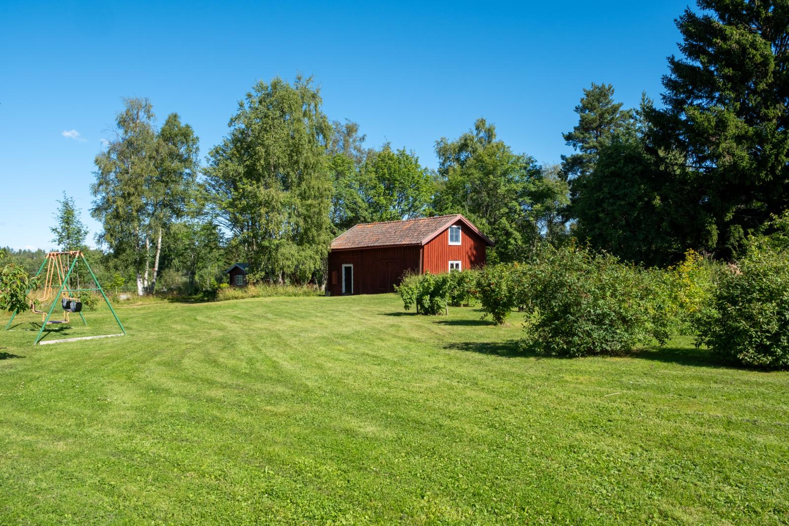 I trädgåtrden