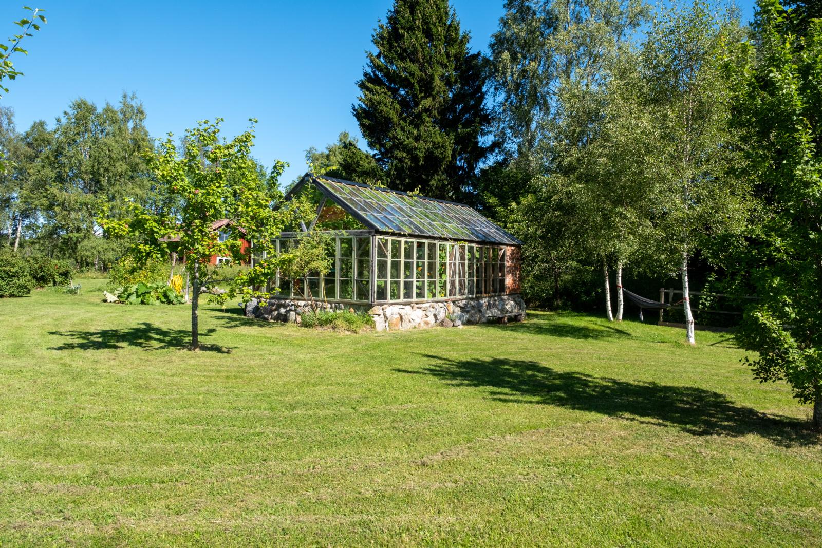 I trädgården