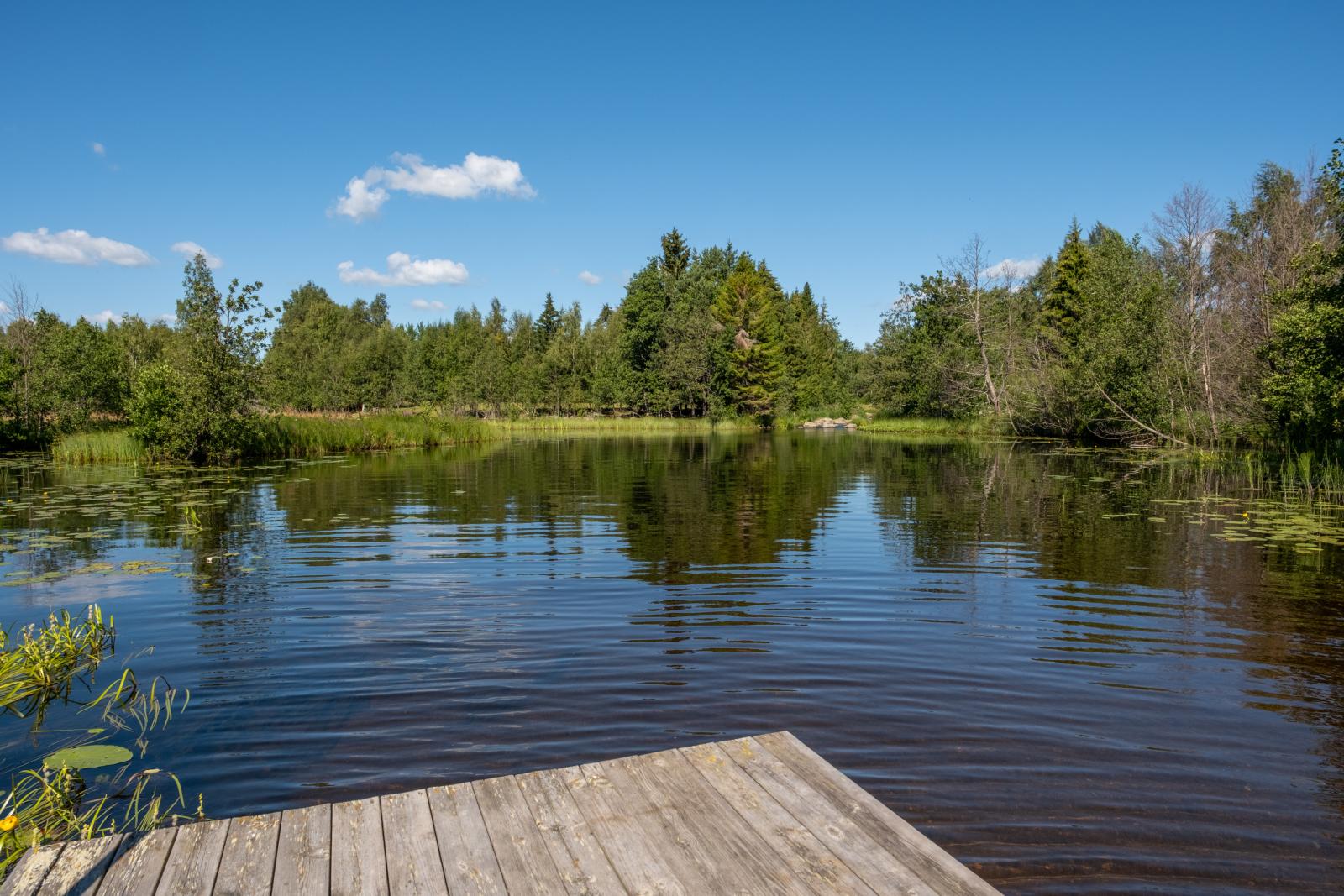 Vid bryggan