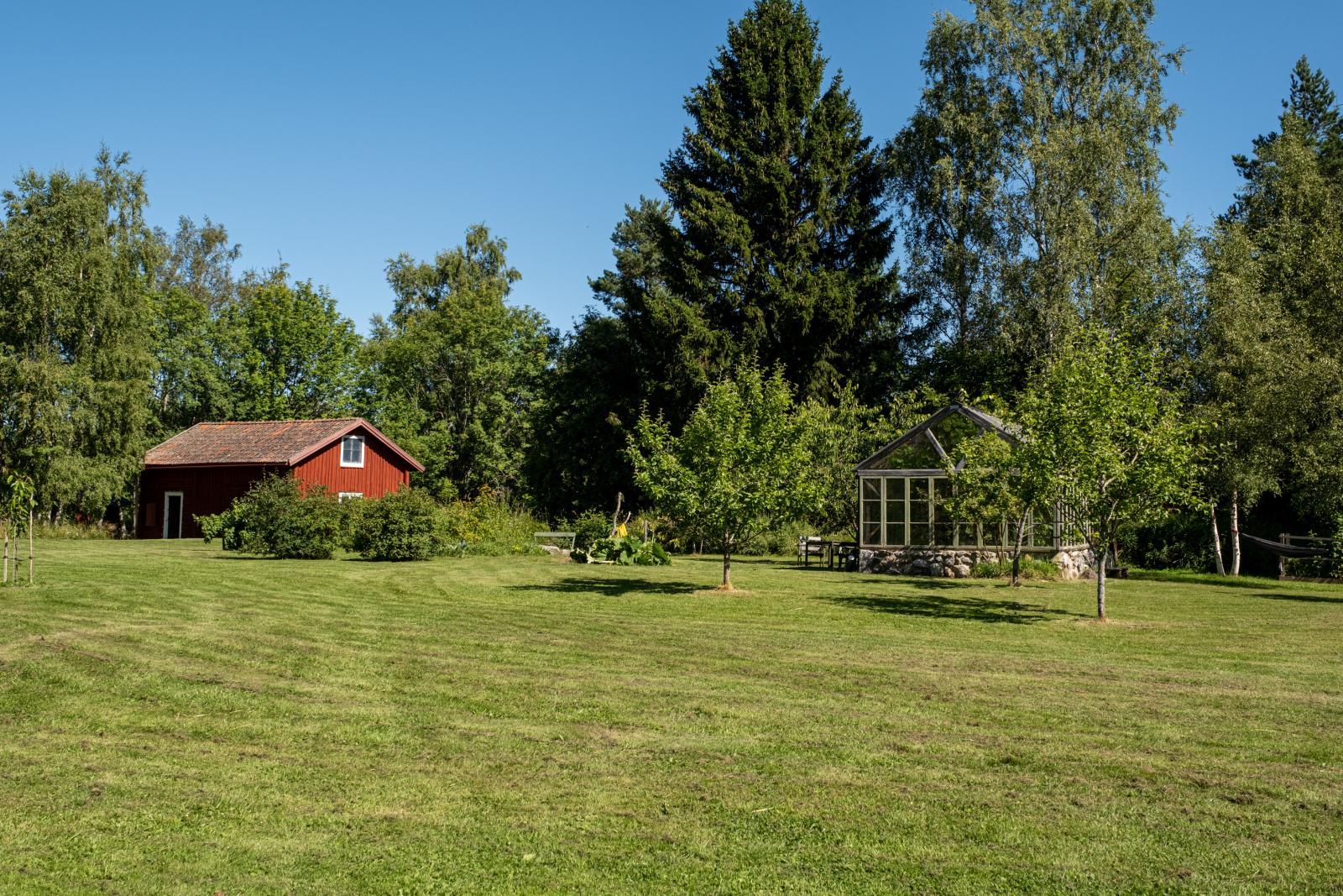 I trädgården