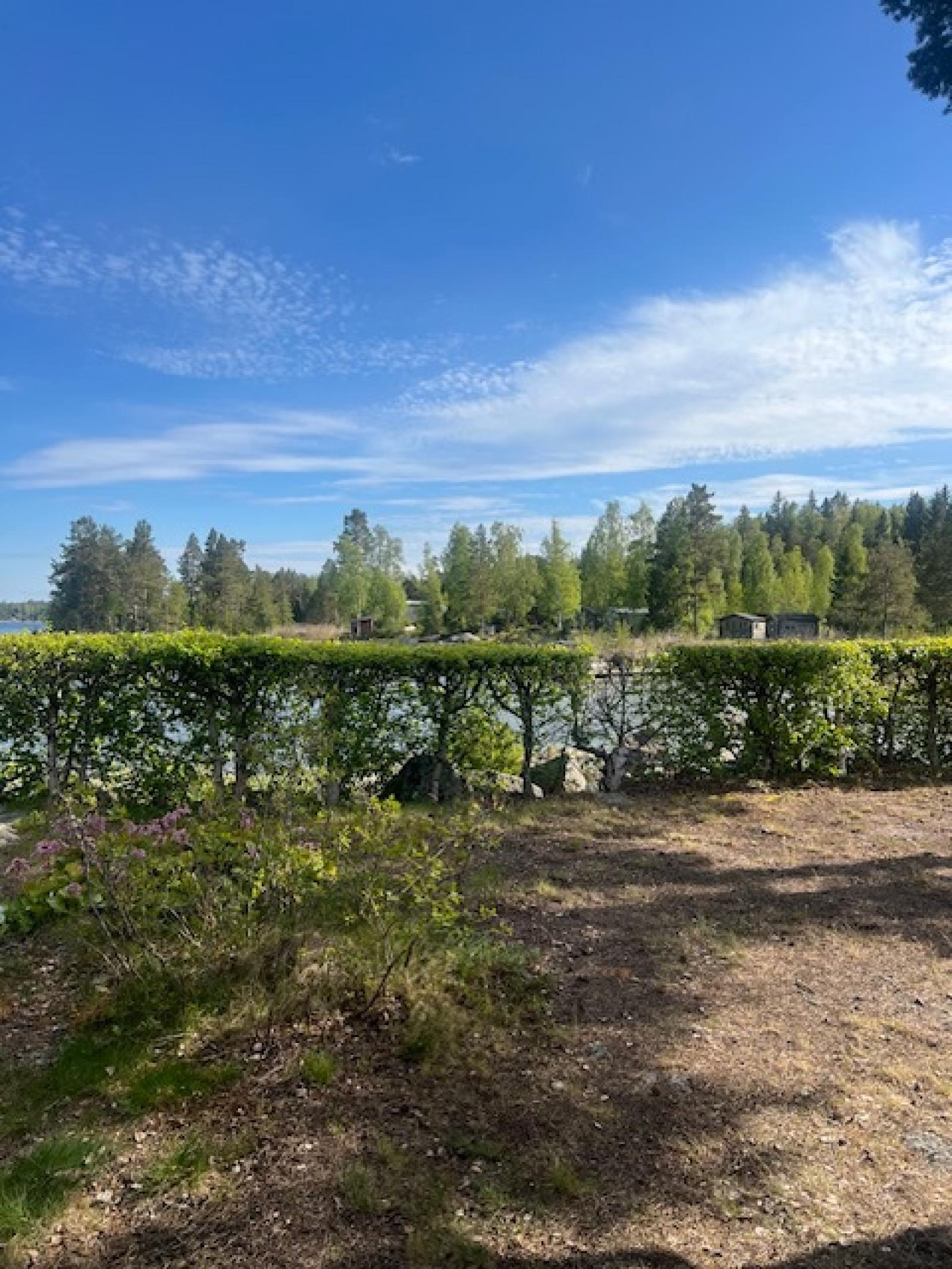 Skyddande häck mot havet