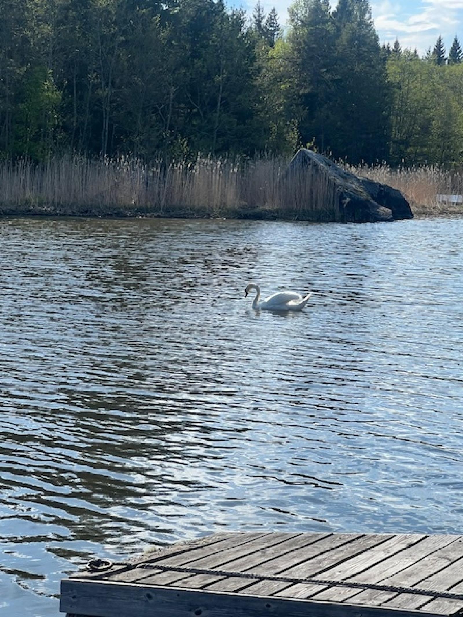 Vid bryggan