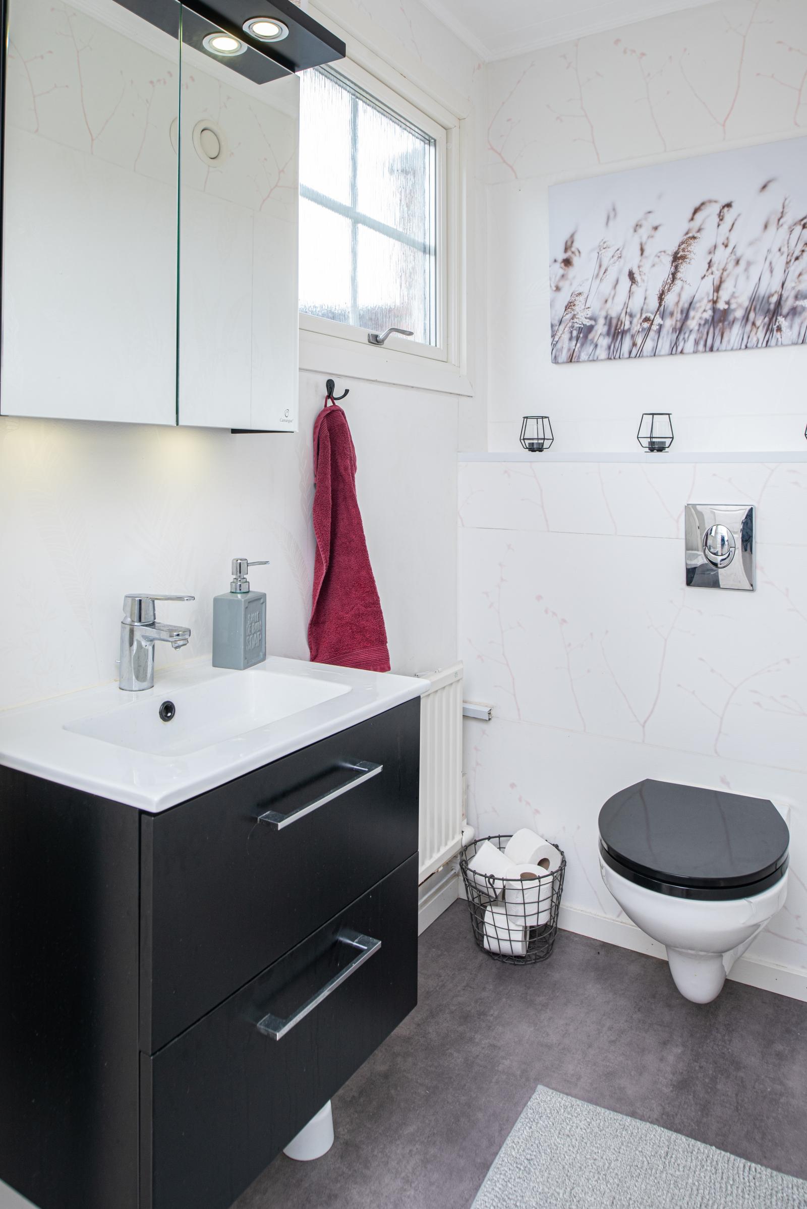 Wc med handfat