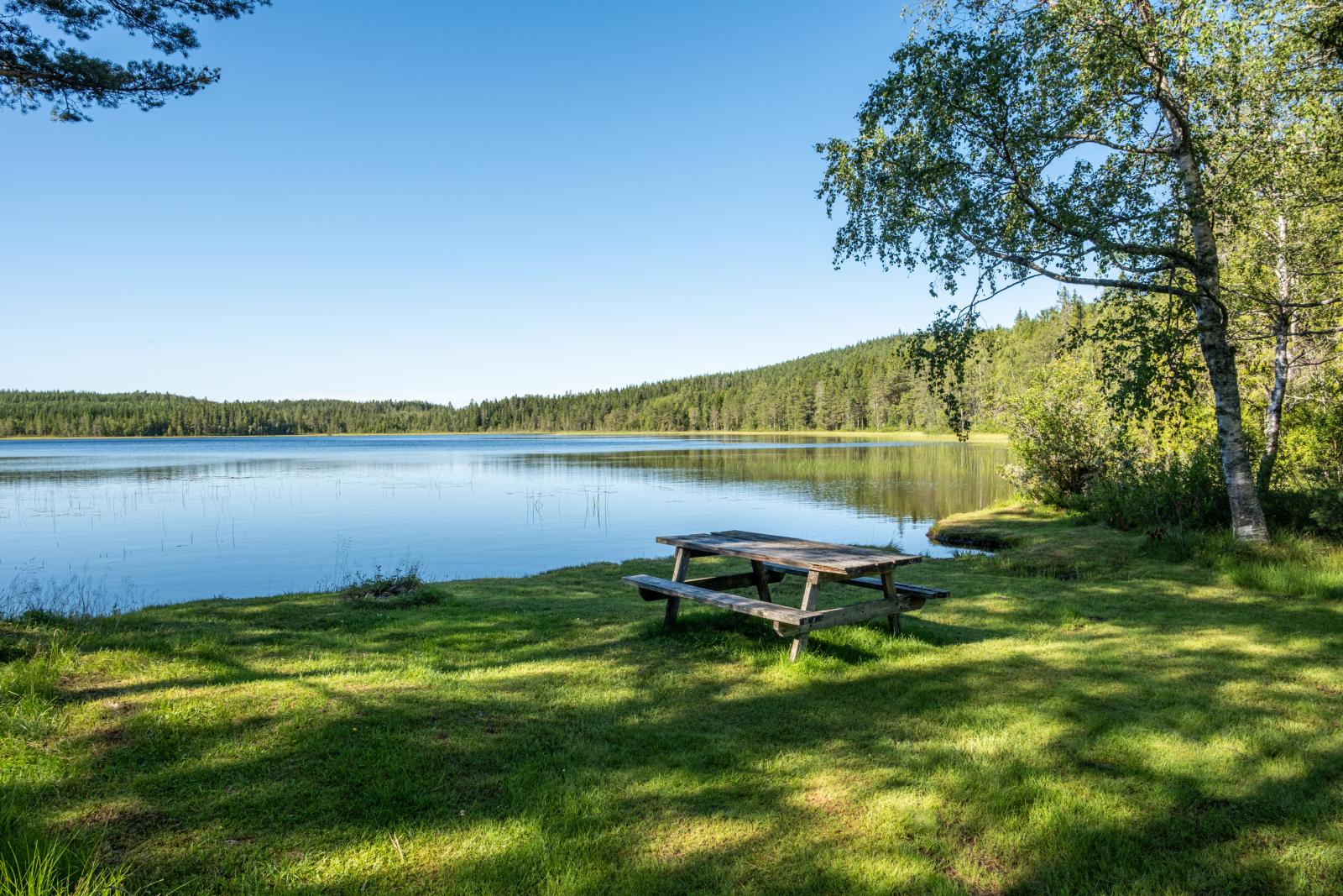 Örvallsjön