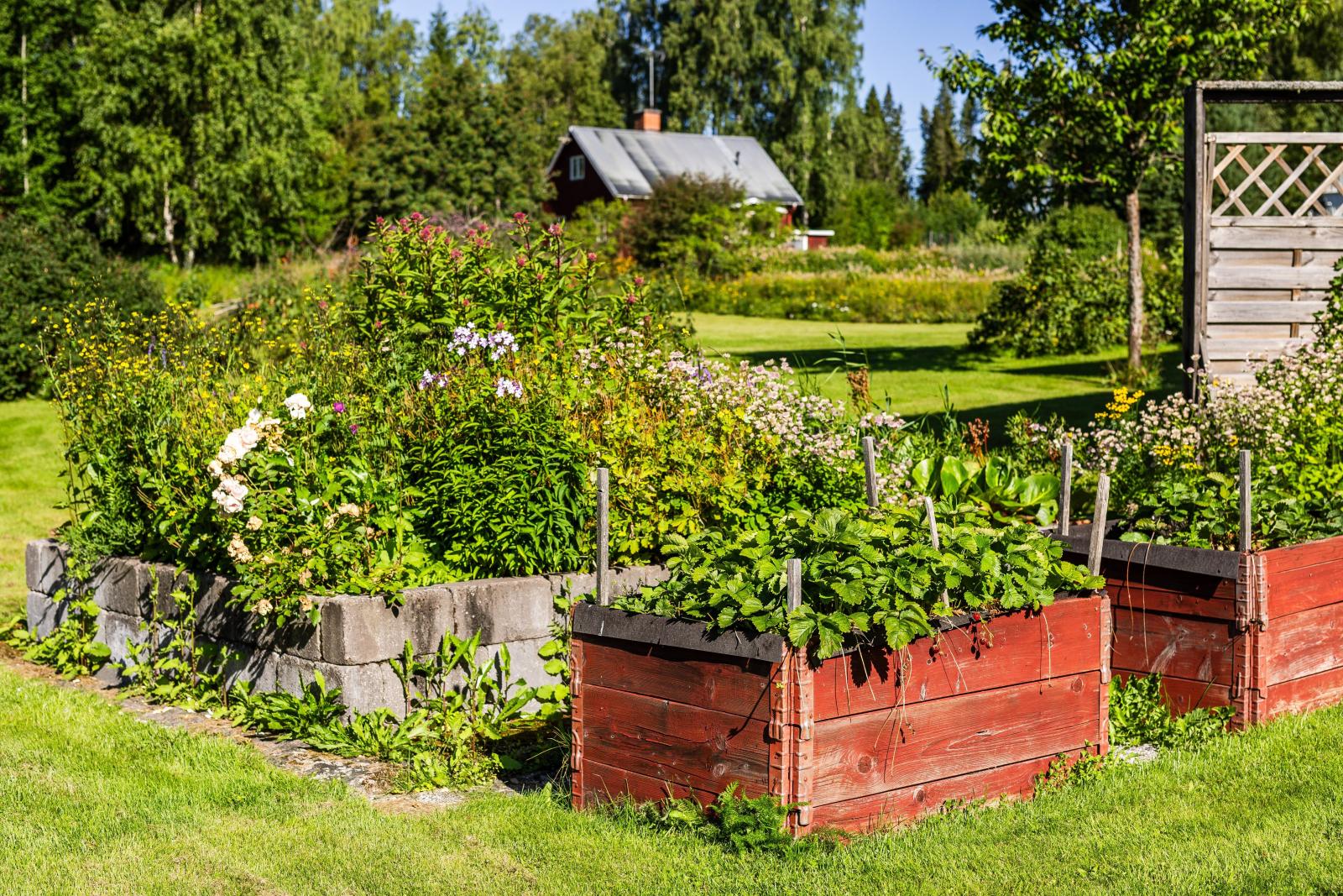 Otroliga utrymmen för odling