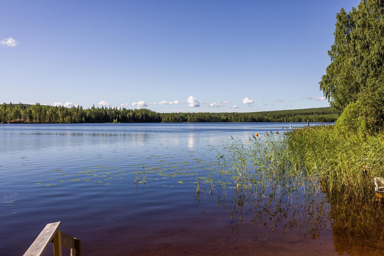 Sjön