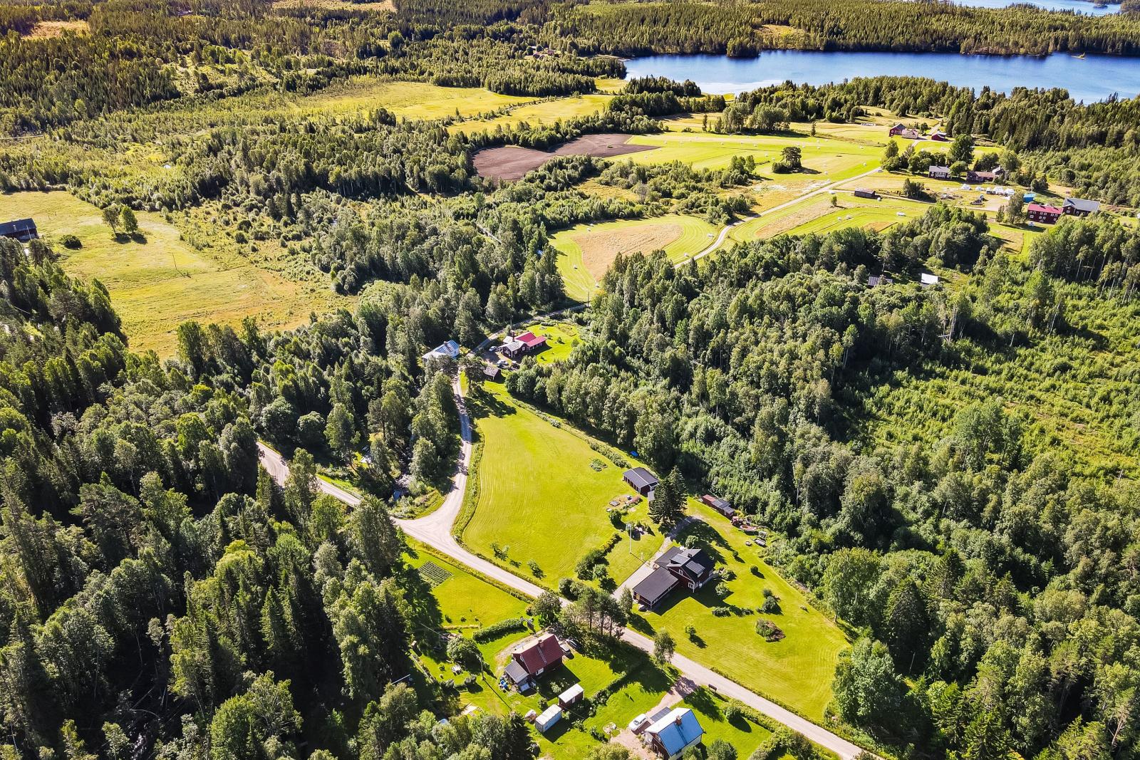Frisbosjön
