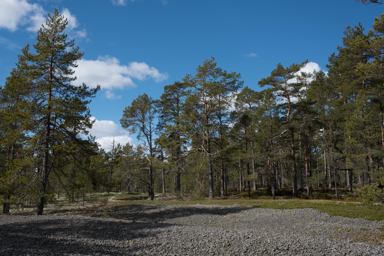 Från närområdet