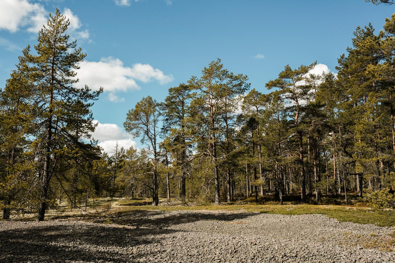 Från närområdet