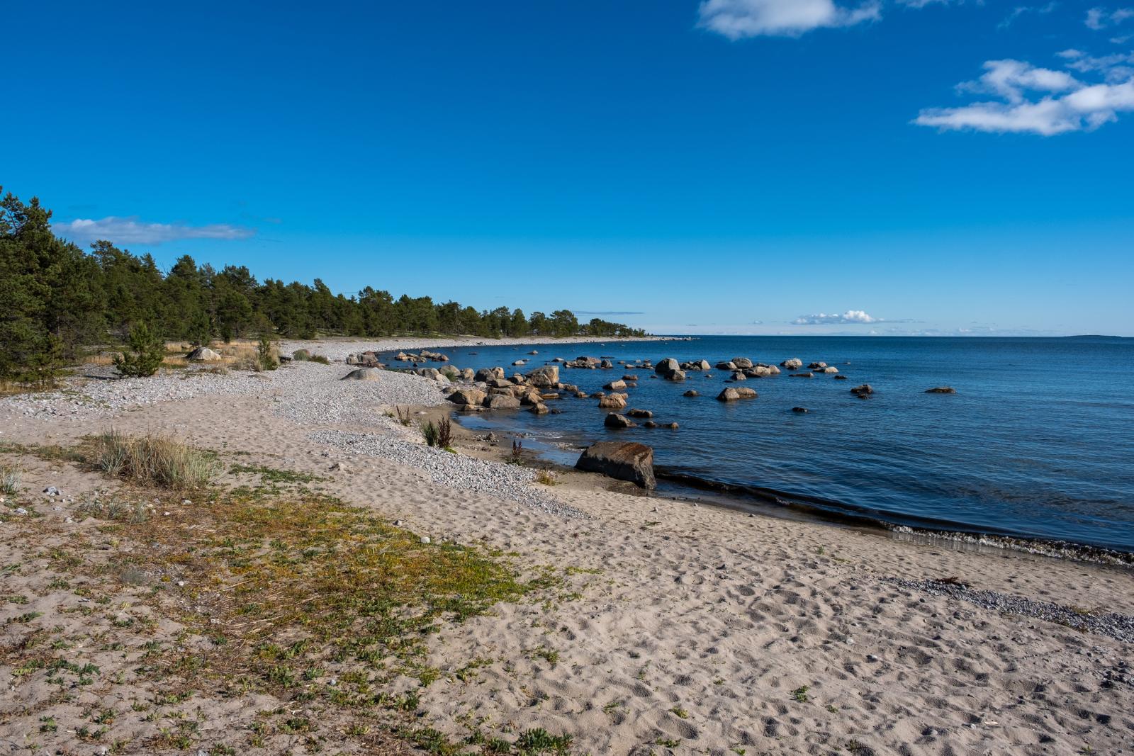 Från närområdet