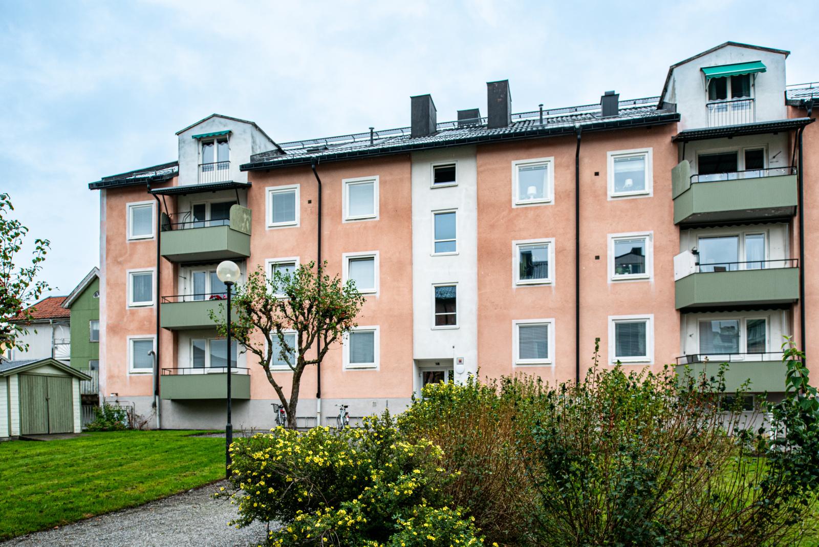 Exteriör
