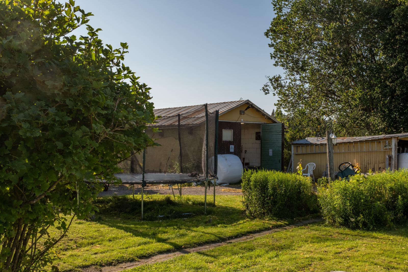 Trädgård