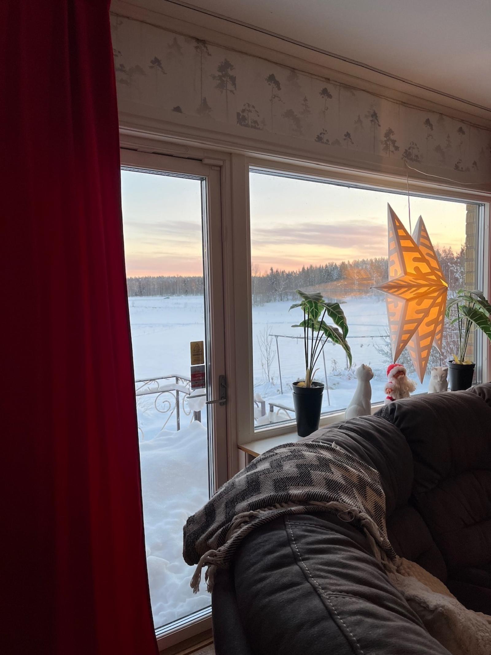 Säljarens egna bild