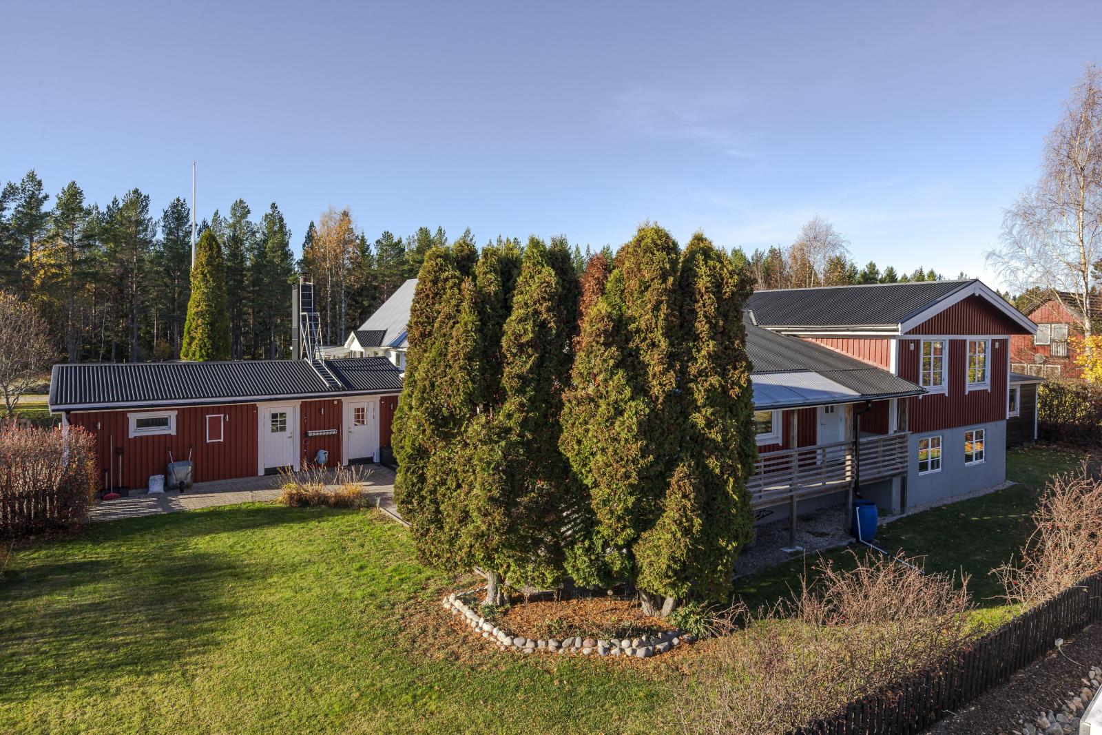 Exteriör