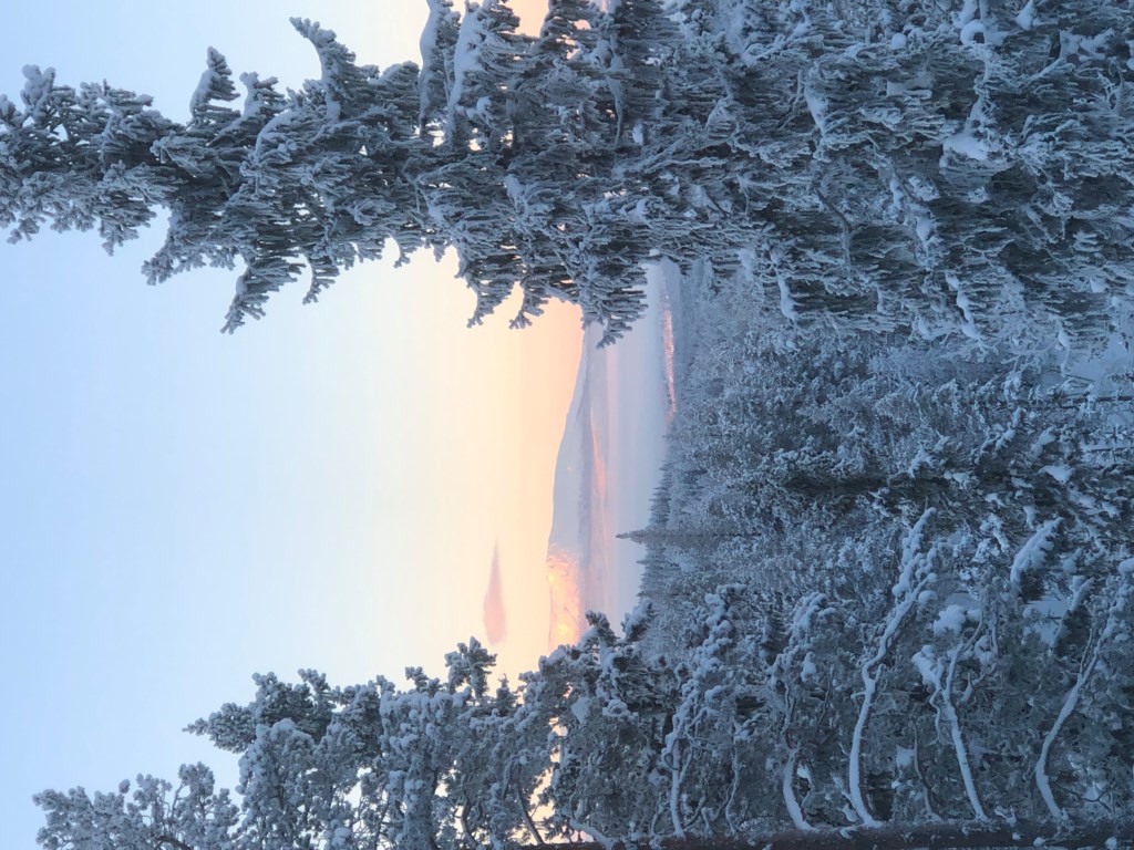 Vemdalsskalet Skalspassvägen 10C