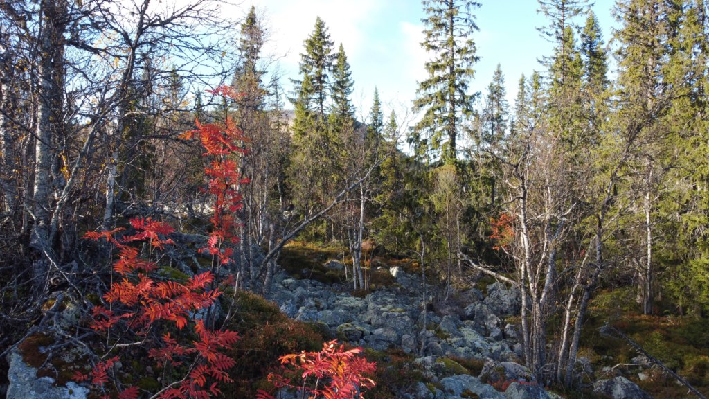 Vemdalsskalet Karl XI:s väg 154B